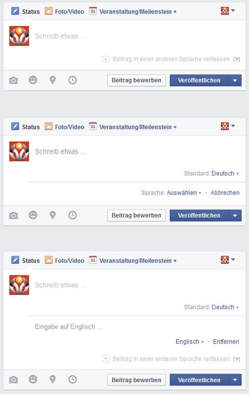 Multilinguale Facebook Fanpage | Internet Agentur Scherer | Dachau